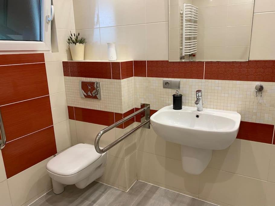 4 Bedroom Family House With Access To A Hot Tub Goczałkowice-Zdrój Dış mekan fotoğraf