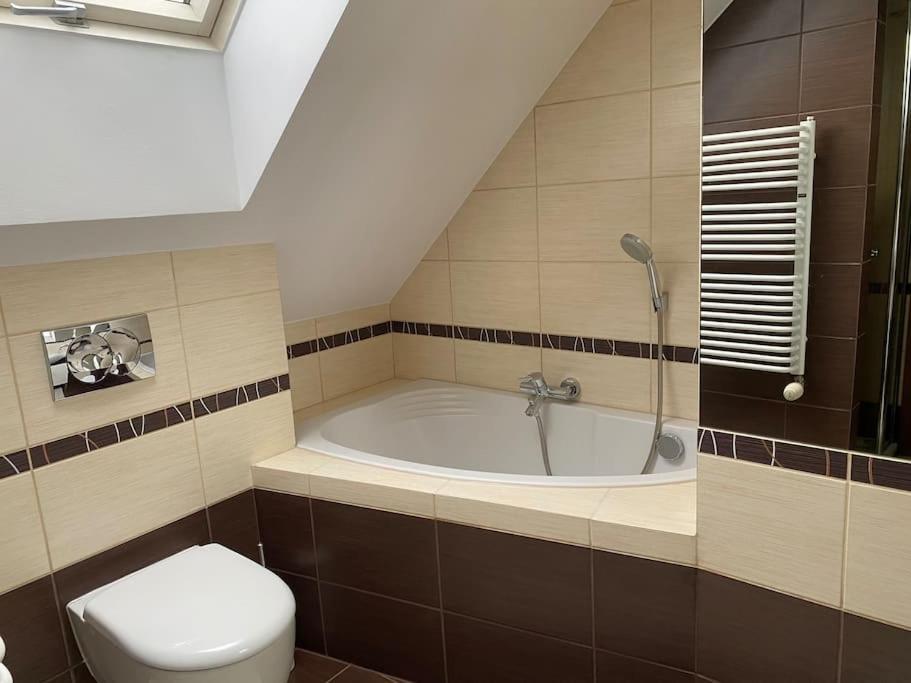 4 Bedroom Family House With Access To A Hot Tub Goczałkowice-Zdrój Dış mekan fotoğraf