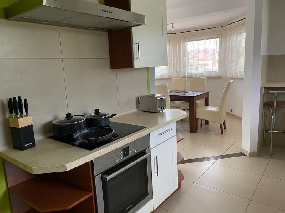 4 Bedroom Family House With Access To A Hot Tub Goczałkowice-Zdrój Dış mekan fotoğraf