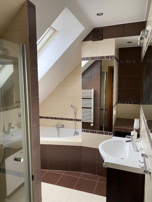 4 Bedroom Family House With Access To A Hot Tub Goczałkowice-Zdrój Dış mekan fotoğraf